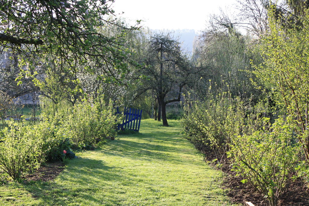 Bed and Breakfast La Barbotine Septmonts Zewnętrze zdjęcie